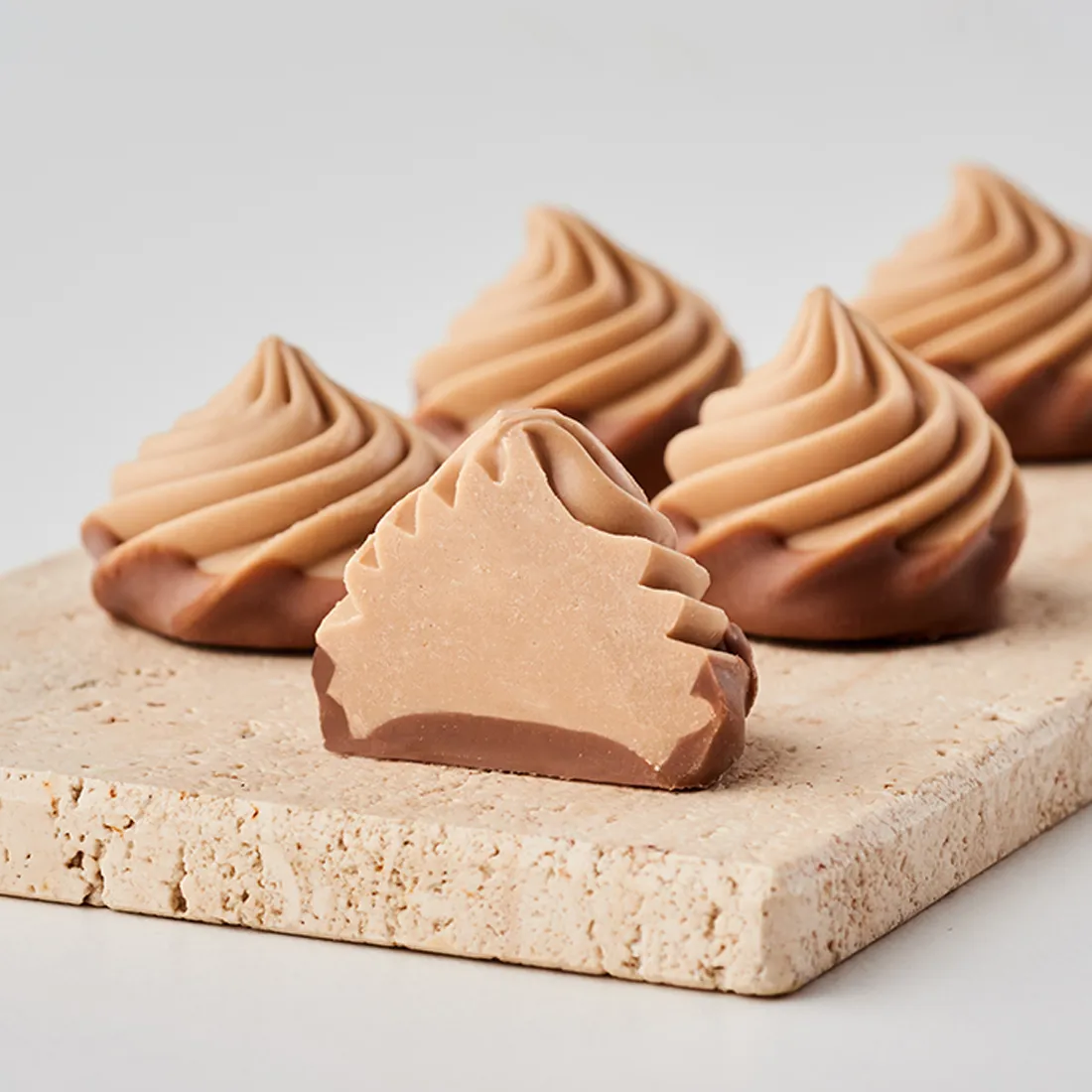 Florenzer Rose, 6 St.